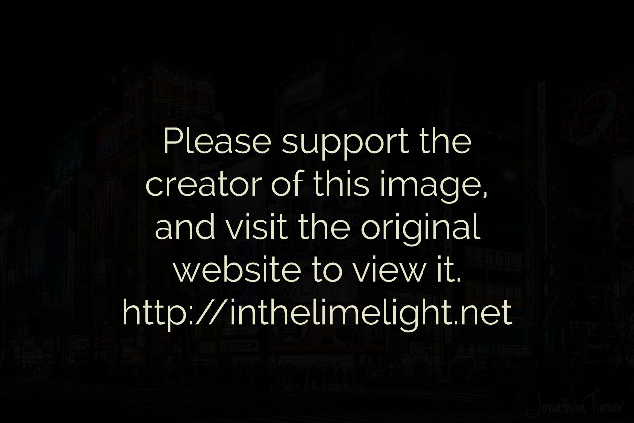 Akihabara at Night Jonathan Timar