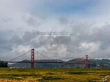 The Golden Gate Bridge from Crissy Field