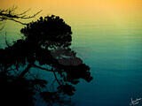 Silhouette On The Lake – Tofino, BC