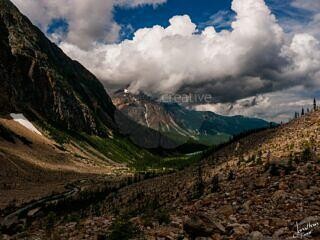 Valley at Mount Edith Cavell